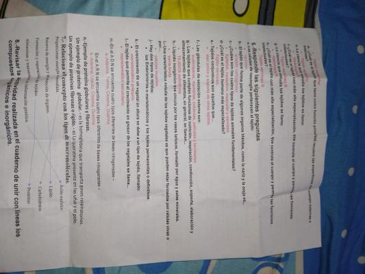 Photo d'un cours de  Exercice sur les tissus biologiques