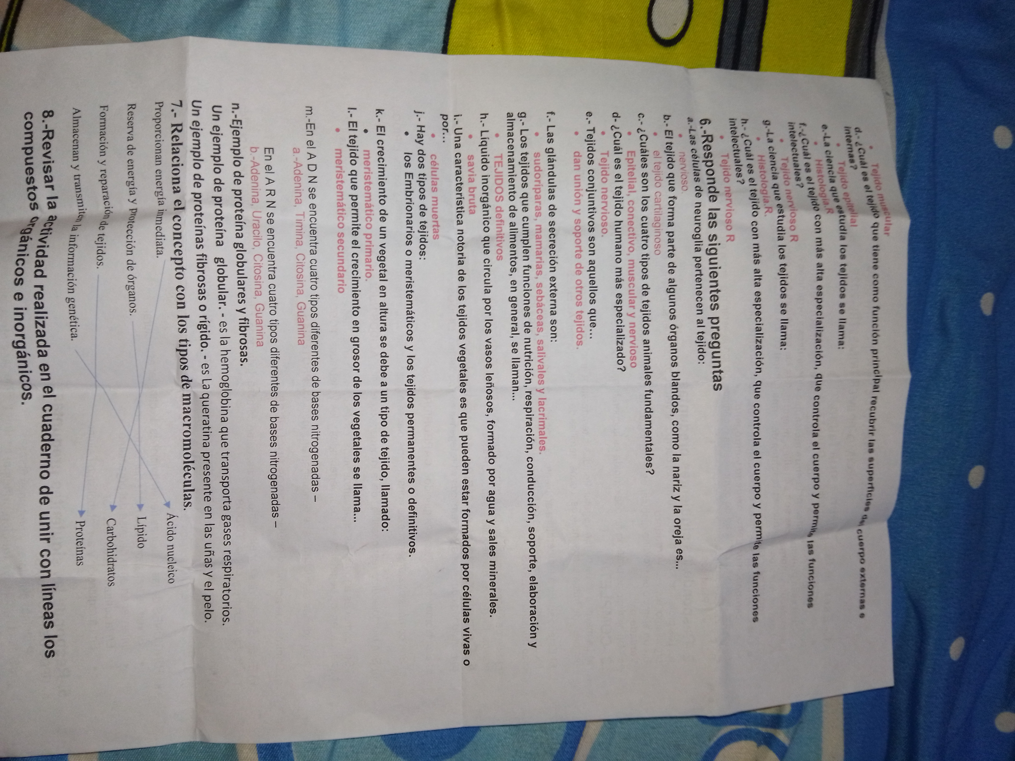 Photo d'un cours de  Exercice sur les tissus biologiques