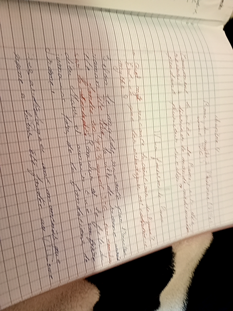 Photo d'un cours de  Exercices de conjugaison française