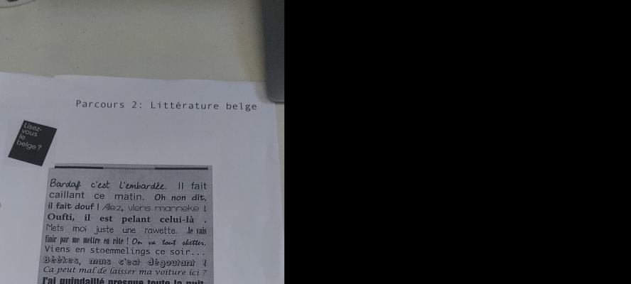 Photo d'un cours de  Expressions et langage belge
