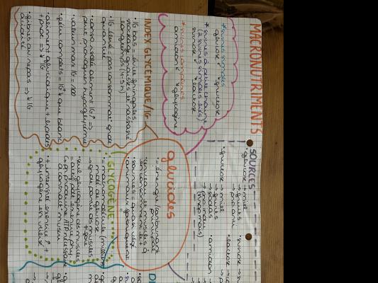 Photo d'un cours de  Fiche sur les glucides essentiels