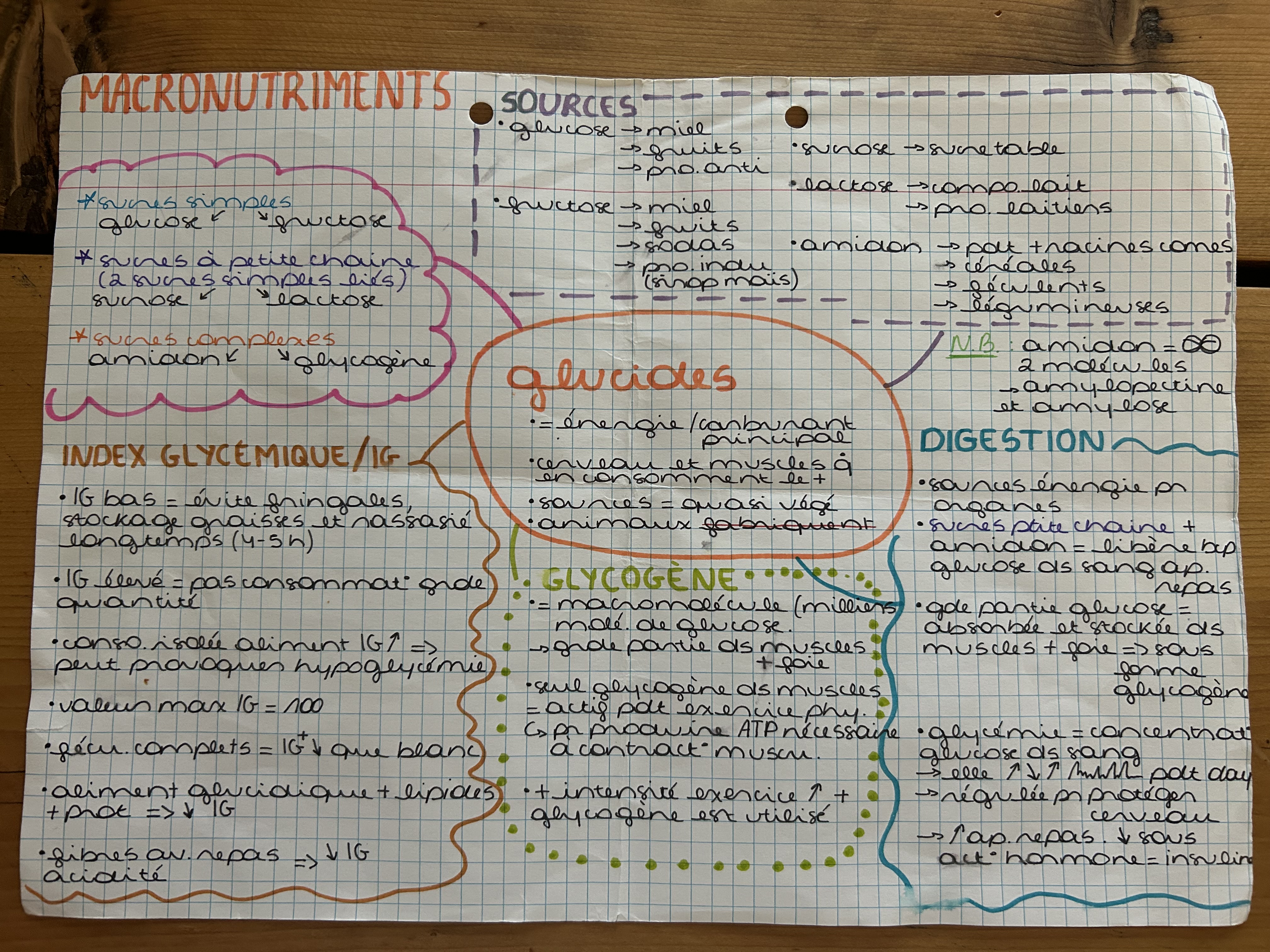 Photo d'un cours de  Fiche sur les glucides essentiels