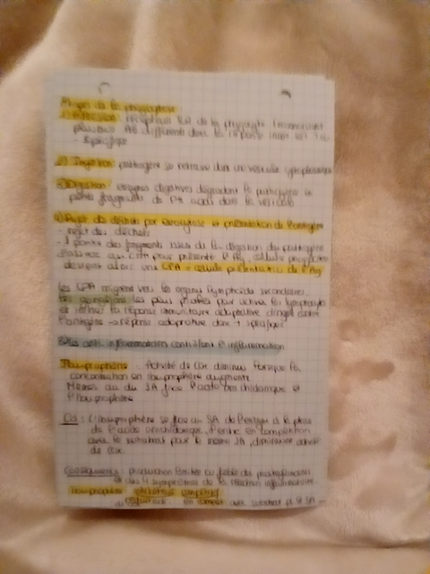 Photo d'un cours de  Fonctionnement de la respiration humaine