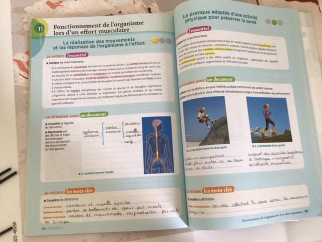 Photo d'un cours de  Fonctionnement de l'organisme musculaire