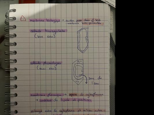 Fonctionnement des Membranes Biologiques quiz