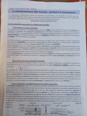 Photo d'un cours de  Fonctionnement des muscles : mouvement