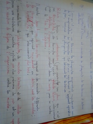 Photo d'un cours de  Fonctionnement des phagocytes immunitaires