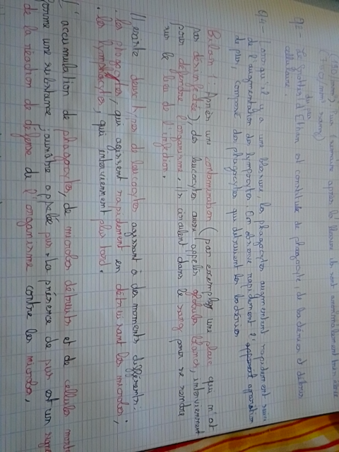 Photo d'un cours de  Fonctionnement des phagocytes immunitaires