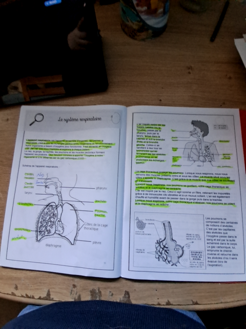 Photo d'un cours de  Fonctionnement du système respiratoire