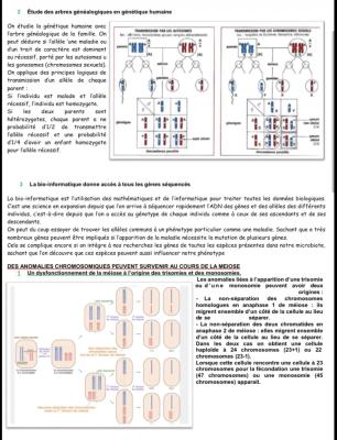 Génétique et Anomalies Chromosomiques quiz