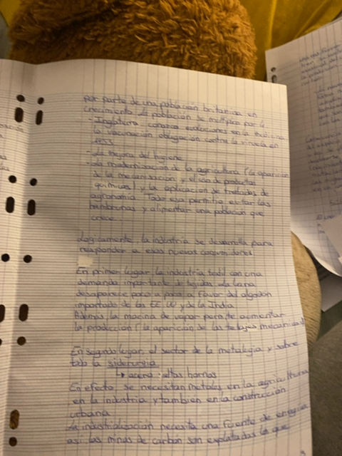 Photo d'un cours de  Industrialisation et ses impacts