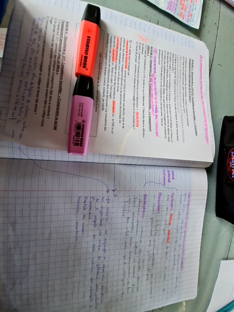 Photo d'un cours de  Introduction aux concepts sociologiques