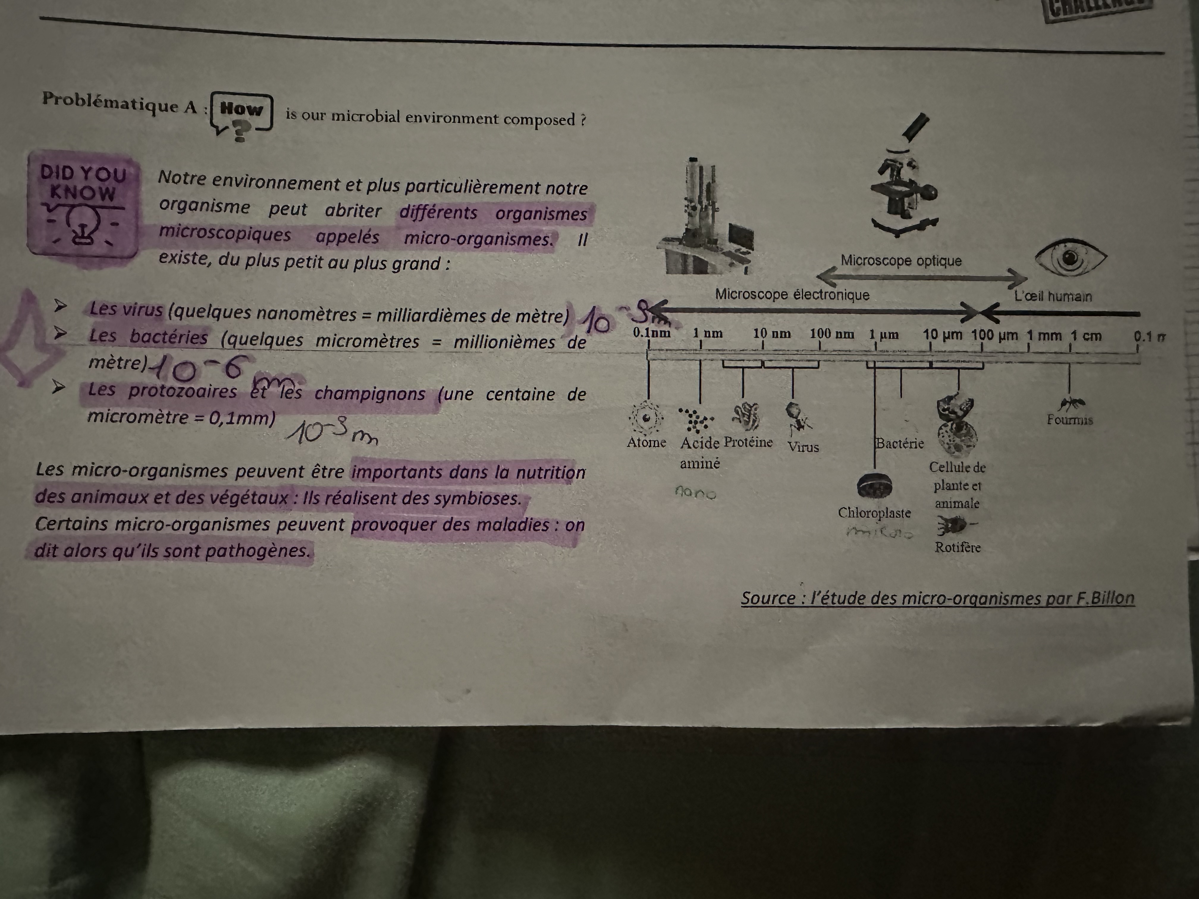 Photo d'un cours de  Introduction aux micro-organismes environnementaux