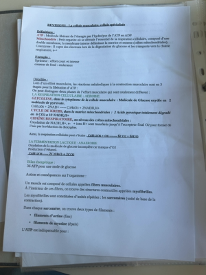 Photo d'un cours de  La cellule musculaire : révisions