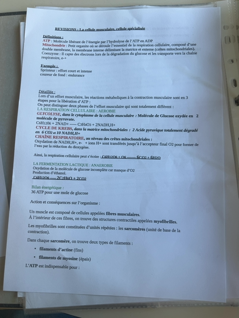 Photo d'un cours de  La cellule musculaire : révisions