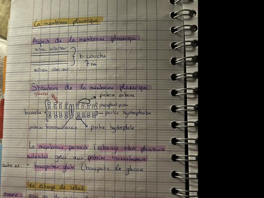 La membrane plasmique et échanges quiz