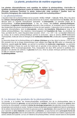 La plante et la photosynthèse quiz