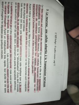 Le neurone et transmission nerveuse quiz