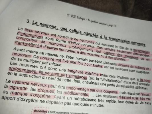 Le neurone et transmission nerveuse quiz