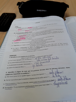 Photo d'un cours de  Leçon sur l'ironie et figures