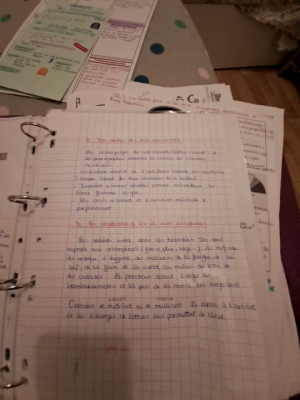 photo  Les besoins nutritionnels de l'organisme quiz