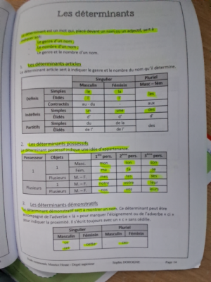 Les déterminants en français quiz