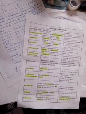 Photo d'un cours de  Les figures de style expliquées