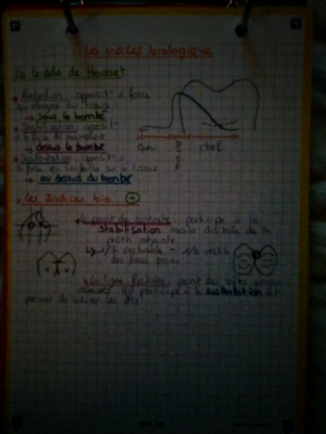 Photo d'un cours de  Les indices biologiques expliqués