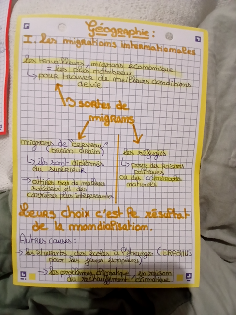 Photo d'un cours de  Les migrations internationales expliquées