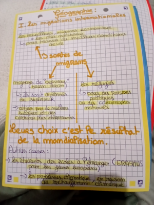 Photo d'un cours de  Les migrations internationales expliquées