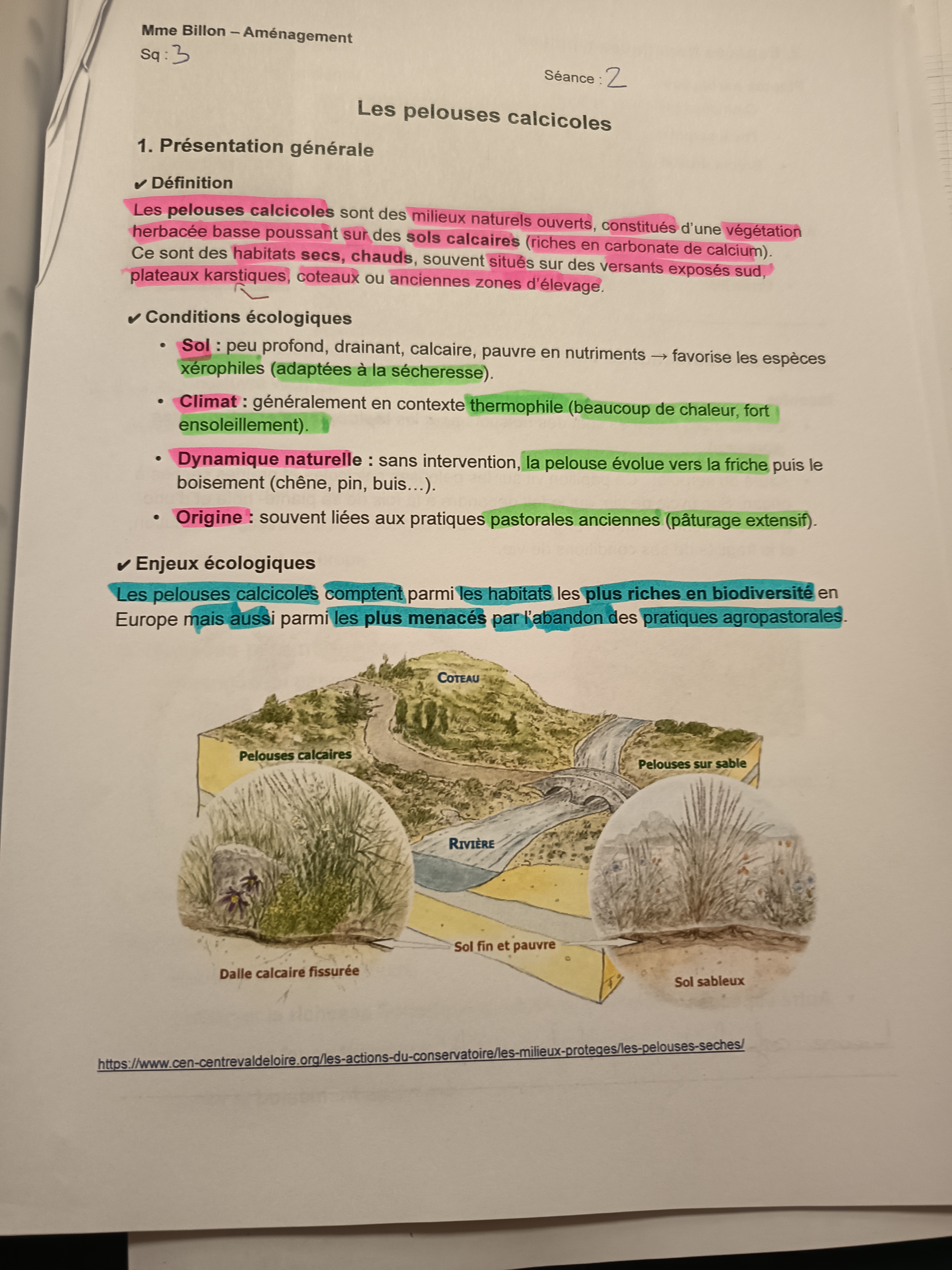 Photo d'un cours de  Les pelouses calcicoles : définition et enjeux