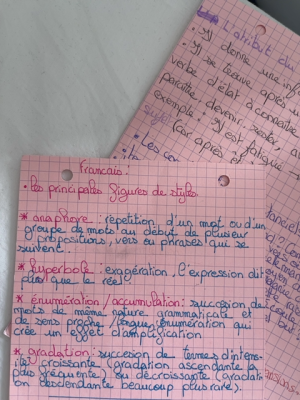 Photo d'un cours de  Les principales figures de style