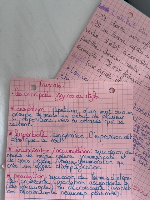 Photo d'un cours de  Les principales figures de style