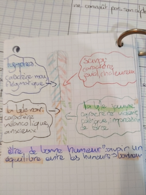 Photo d'un cours de  Les quatre tempéraments et humeurs