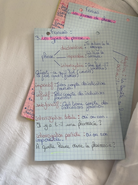 Photo d'un cours de  Les types de phrases françaises