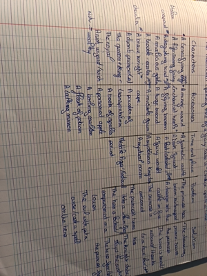 photo  Liste de vocabulaire anglais quiz