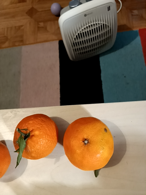 Photo d'un cours de  Mandarines et Radiateur Intérieur