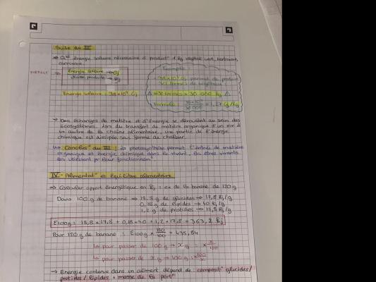 Énergie et Équilibre Alimentaire quiz