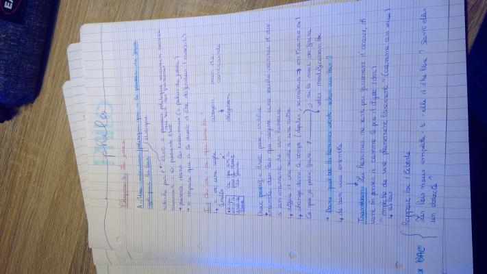 Photo d'un cours de  Notes de cours de philosophie