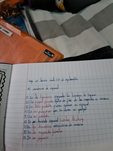Photo d'un cours de  Notes de cours d'espagnol