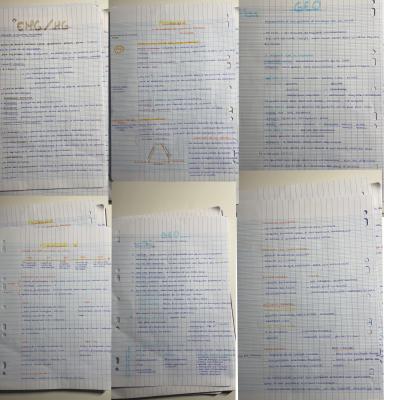Photo d'un cours de  Notes de cours en géographie et histoire