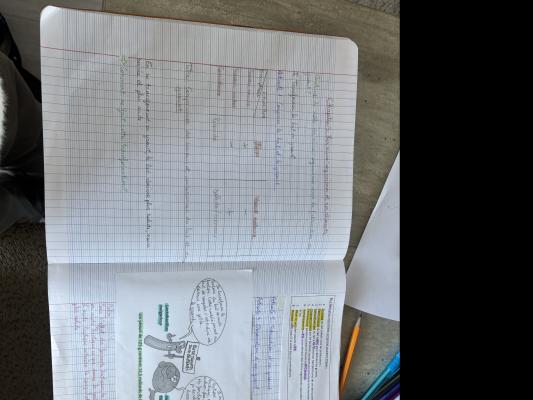 Photo d'un cours de  Notes sur la nutrition humaine