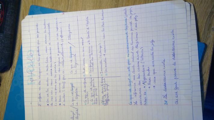 Photo d'un cours de  Notes sur la Philosophie Sociale