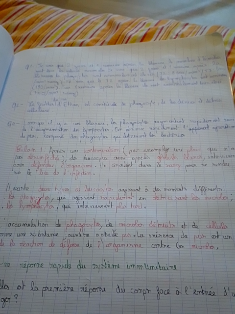 Photo d'un cours de  Notes sur le système immunitaire
