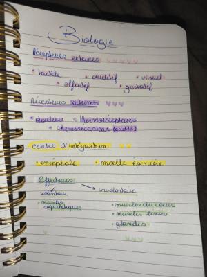 Notes sur les récepteurs sensoriels quiz