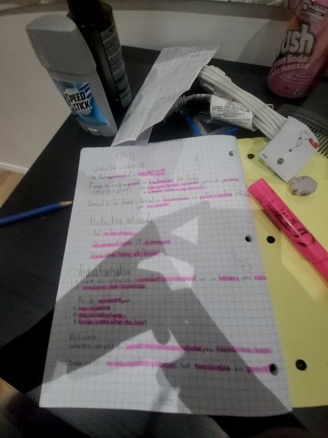 Photo d'un cours de  Notes sur production et industrialisation