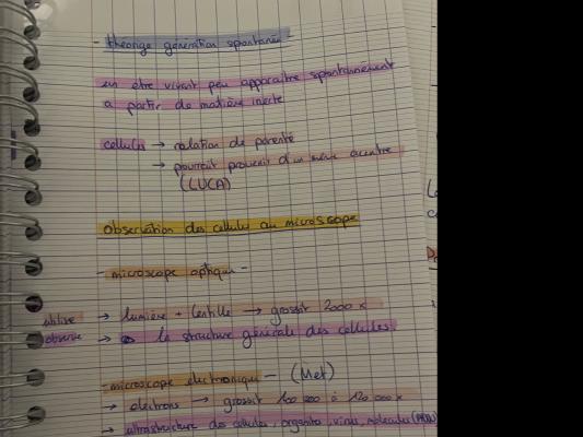 Observation et Théorie Cellulaire quiz