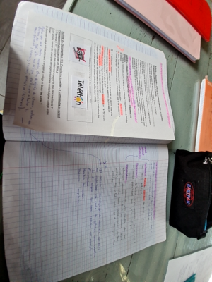 Photo d'un cours de  Organisation et Impact du Téléthon