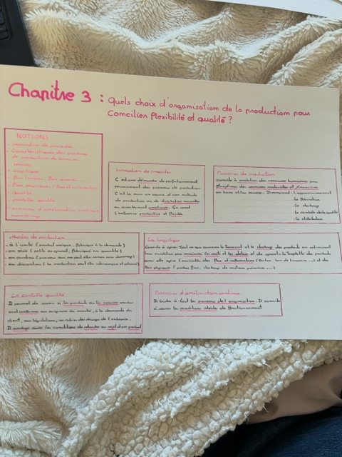 Photo d'un cours de  Organisation Production Flexibilité Qualité
