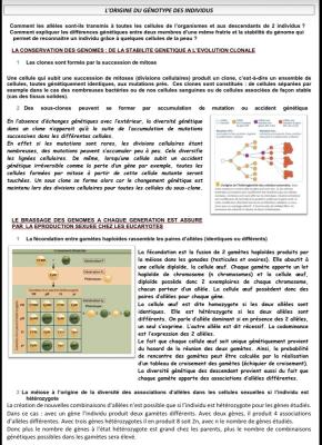Origine du Génotype des Individus quiz